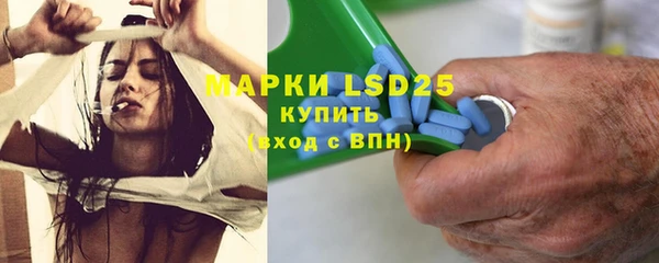 твердый Снежногорск