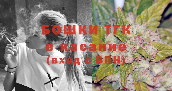 молекула духа Горняк