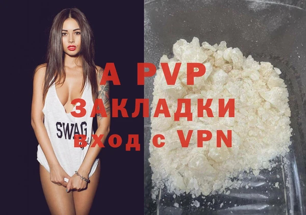 шишки Горно-Алтайск