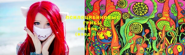 каннабис Гусев