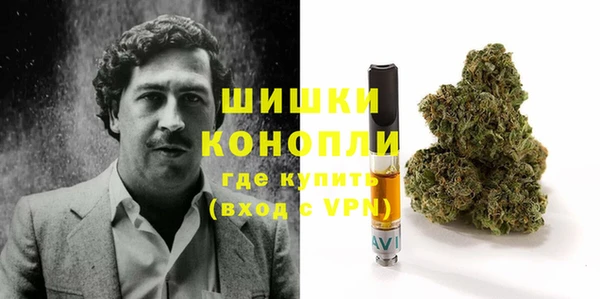молекула духа Горняк
