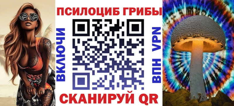 Галлюциногенные грибы Psilocybe  Городище 