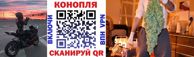 Конопля SATIVA & INDICA  где купить наркоту  Городище 